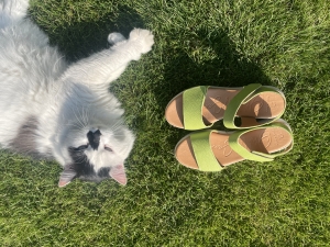 Сандали Oh my sandals 5653