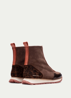 Ankle Boots HI254354 Brown
