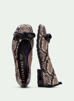 Shoes HI254385 