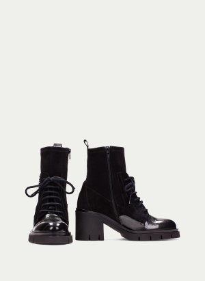 Ankle Boots HI254281 