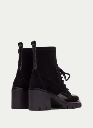 Ankle Boots HI254281 