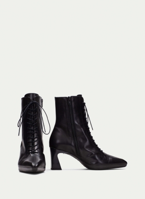 Ankle Boots HI254379 