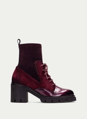 Ankle Boots HI254281 