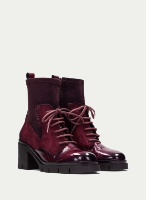 Ankle Boots HI254281 