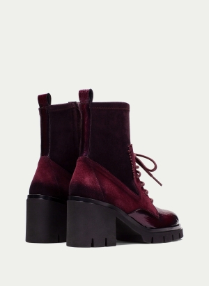 Ankle Boots HI254281 