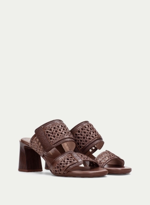 Slippers HV264747 BROWN HISPANITAS