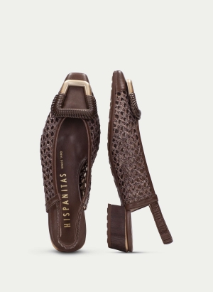 Shoes HV264658 BROWN HISPANITAS