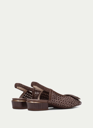 Shoes HV264658 BROWN HISPANITAS