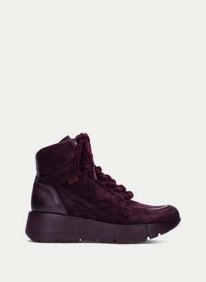 Boots Everest 265117 Burgundy